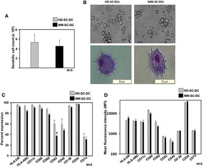 Autologous Hematopoietic Stem Cells Are a Preferred Source to Generate Dendritic Cells for Immunotherapy in Multiple Myeloma Patients